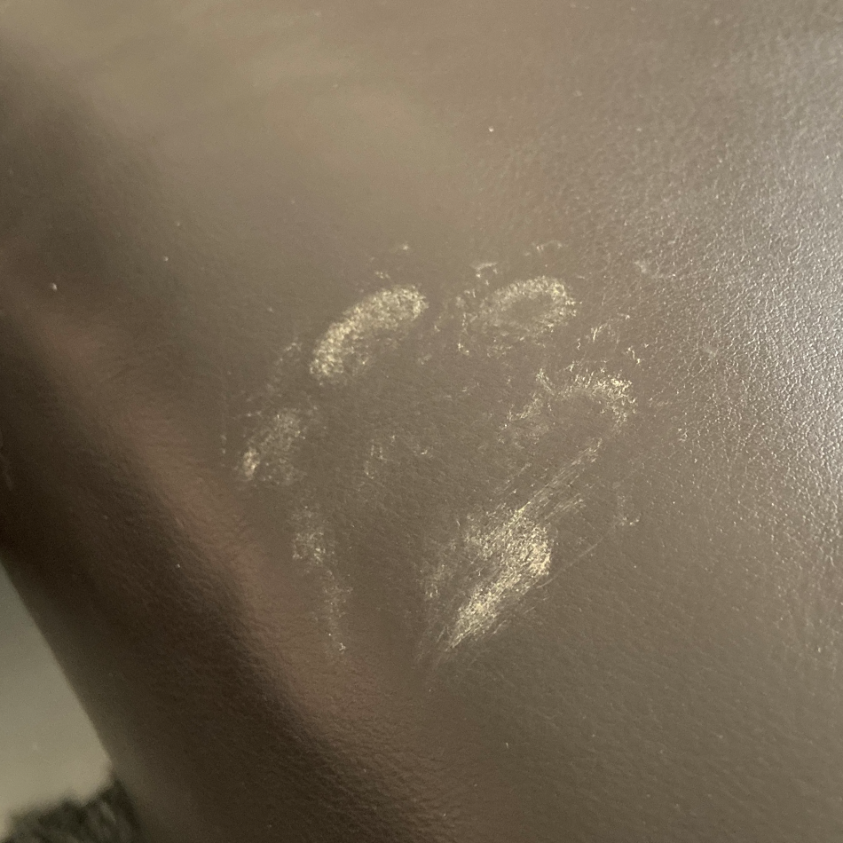 Haustierspuren auf Sofa